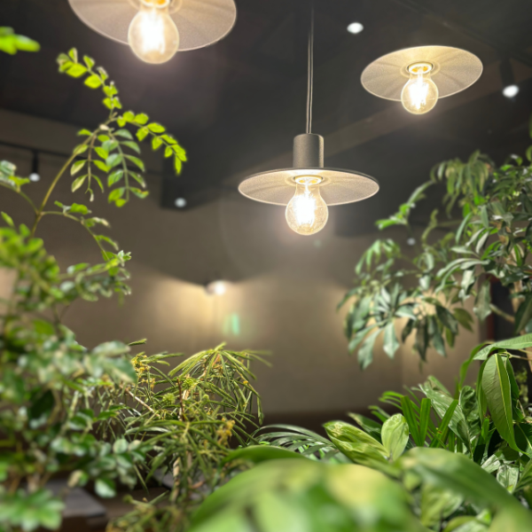 img-food-beverage-gallery-3